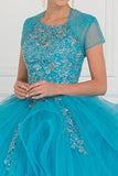 Tulle Embroidered Ball Gown Dress with Bolero.