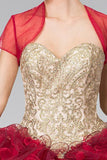 Quinceaneras  dress