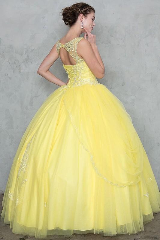 ANONADOR QUINCEANERA DRESS